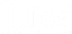 11tica logo
